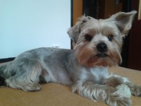 2012-06-15 09.36.33.jpg