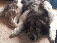 20130417_134030.jpg
