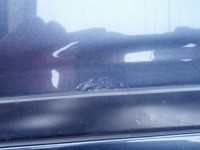 2013-11-10 15.49.32.jpg