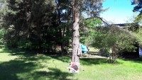 20170611_094652-1.jpg