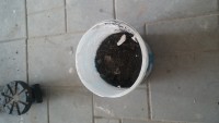 20180324_113729.jpg