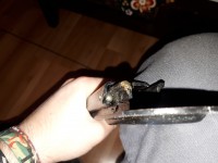 20181125_155520.jpg