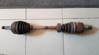 20190415_183700.jpg