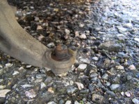 25. července 032.jpg