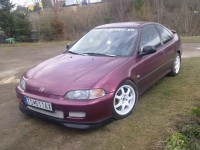 27032012033.jpg