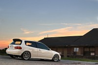 297_9753.jpg