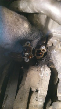 ae04554s-480.jpg
