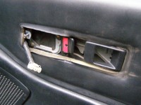 Cerna-Fialova.CRX 003.JPG