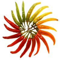 chilli.jpg
