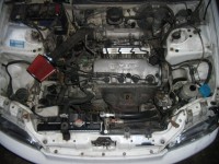 CIMG0528.JPG