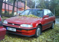 concerto červené.jpg