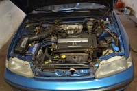 crx4.jpg
