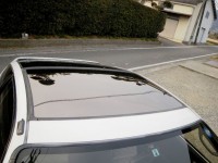 crx_white_glass_roof_2.jpg