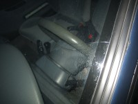 D_prasklina a květ.JPG