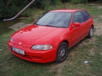 demižónkové 026.JPG