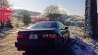 DSC01563.jpg
