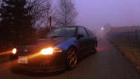 DSC01952.jpg