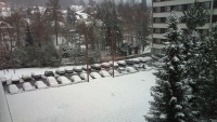 DSC_0061.jpg