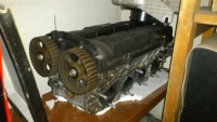 DSC_0061.jpg