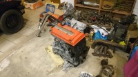 DSC_0127.JPG