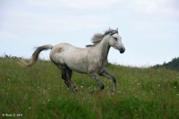 DSC_0640.jpg