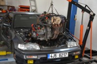 DSC_5598.JPG
