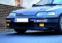 DSC_7259.JPG