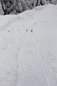 DSC_7507.jpg
