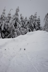 DSC_7508.jpg