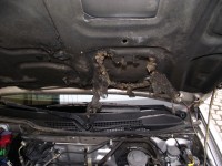 DSCF3156 ztmavené.jpg