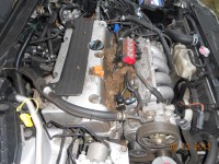 DSCN3960.JPG