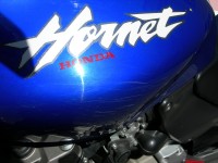 DSCN5238.JPG