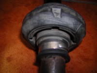 DSCN8317.JPG