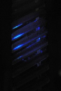DSG_5856.jpg