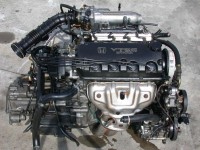 file_2_7.jpg