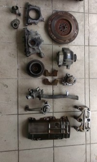 IMAG0142.jpg