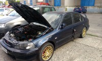 IMAG0308.jpg