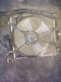 IMAG0374.jpg