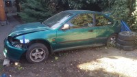 IMAG0509.jpg