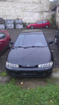 IMAG0710 – kopie.jpg