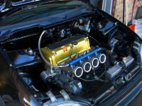 img174312pt8.jpg