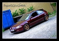 img6680il2.jpg