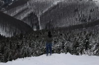 IMG_0028_1.JPG