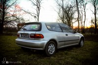 IMG_1106.jpg