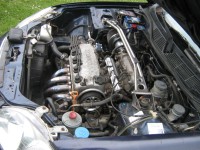 IMG_1576.JPG