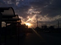 IMG_20130619_055413.jpg