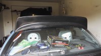 IMG_20160520_094851.jpg