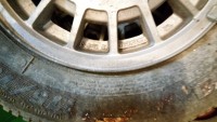 IMG_20170515_175443.jpg