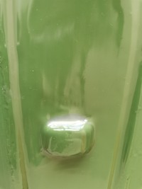 IMG_20200807_121423.jpg