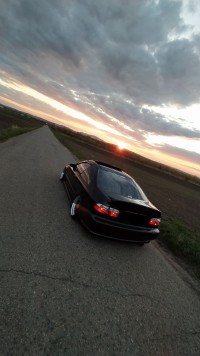 IMG_20220429_105239.jpg